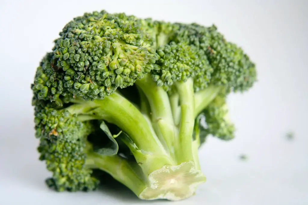 Broccoli is highly nutritious for rabbits