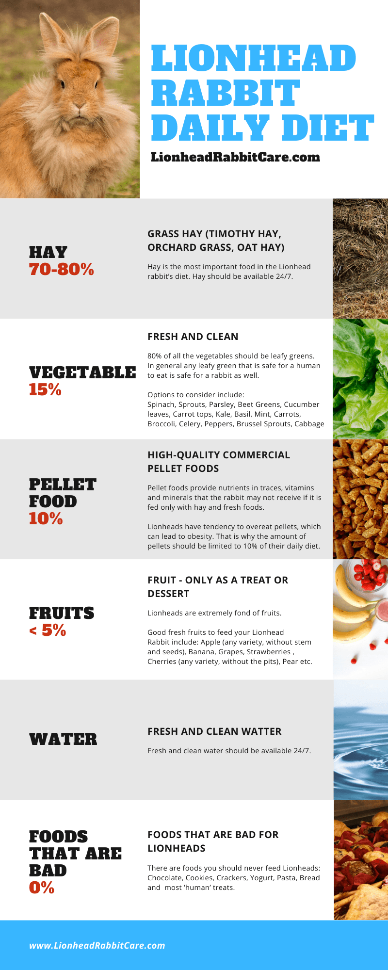 rabbit diet list