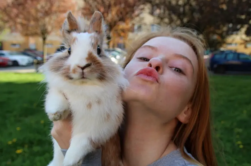 Rabbit Petting Guide Do Rabbits Like To Be Held And Cuddled