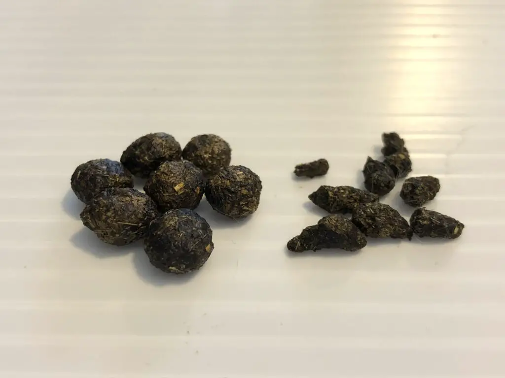 Rabbit fecal pellets