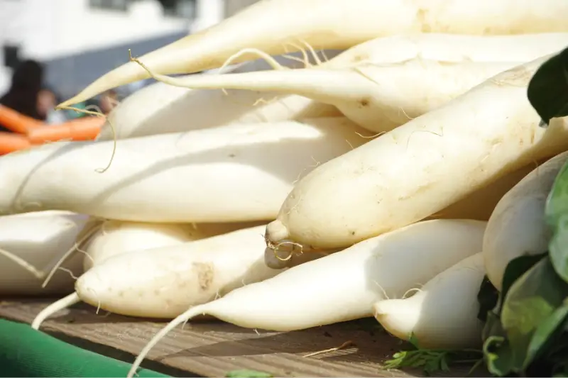 Can Rabbits Eat Radishes?