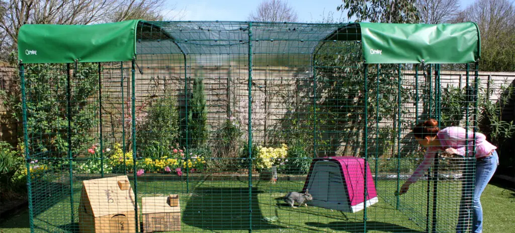 outdoor rabbit play area ideas